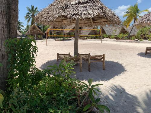 new jambo bungalows hostel