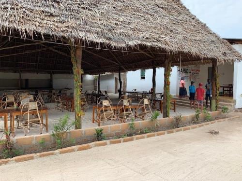 new jambo bungalows hostel