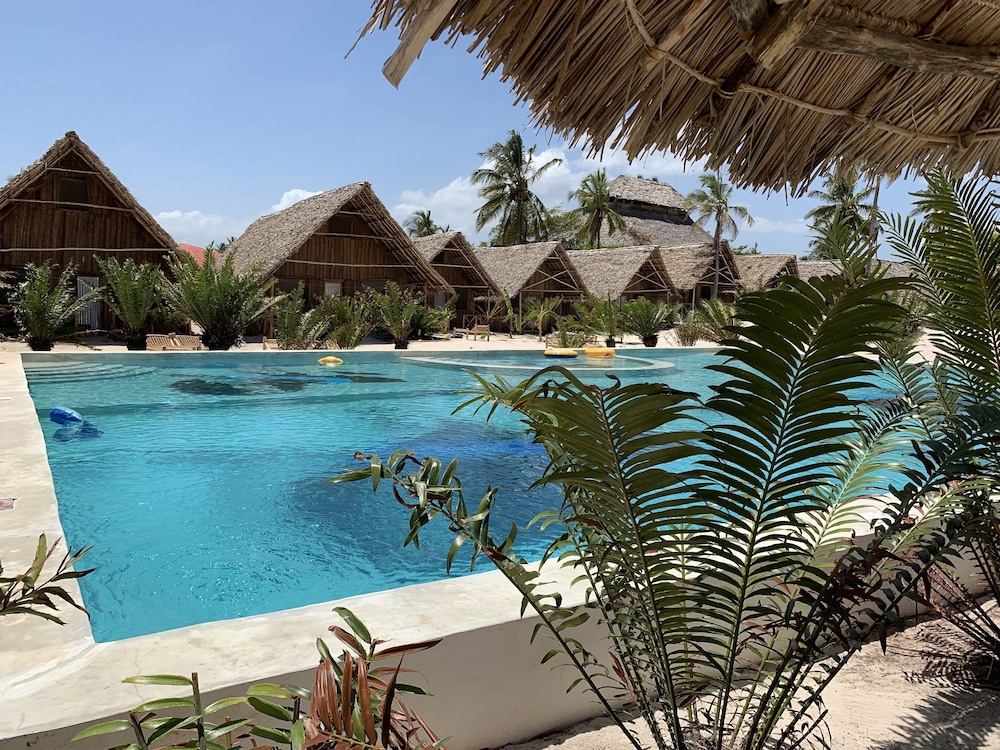 new jambo bungalows hostel