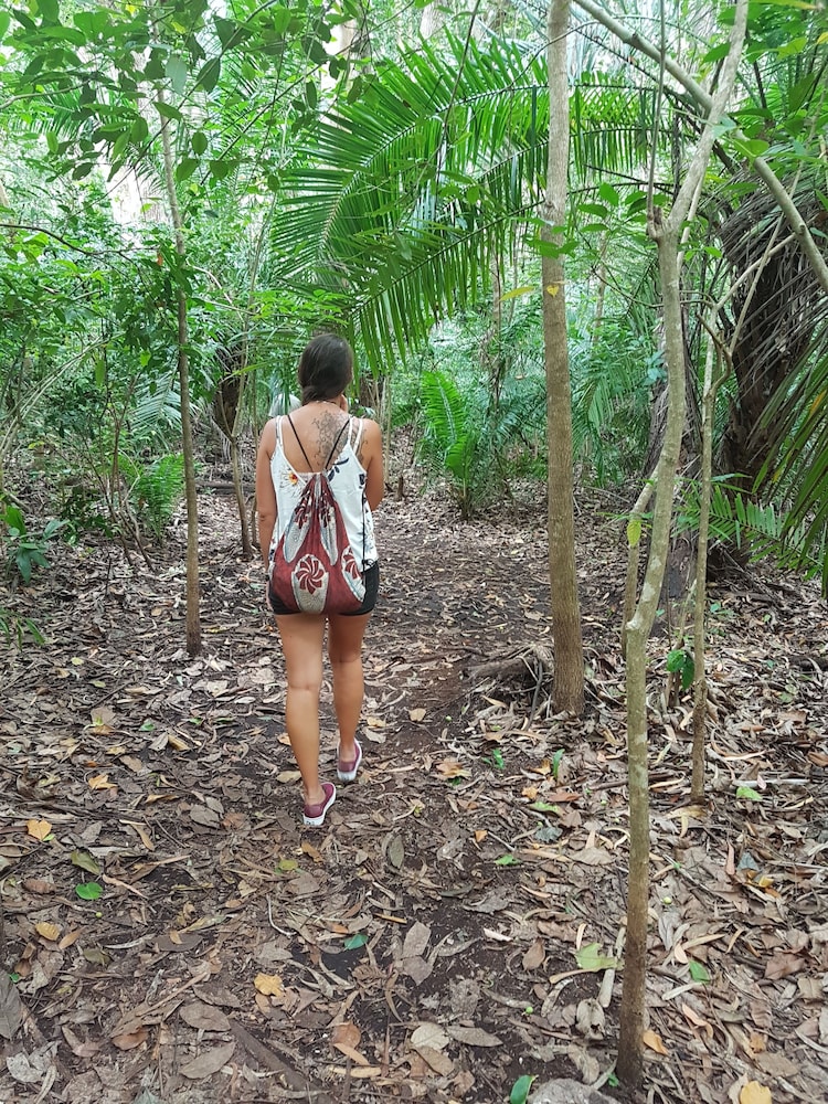 new jambo bungalows hostel