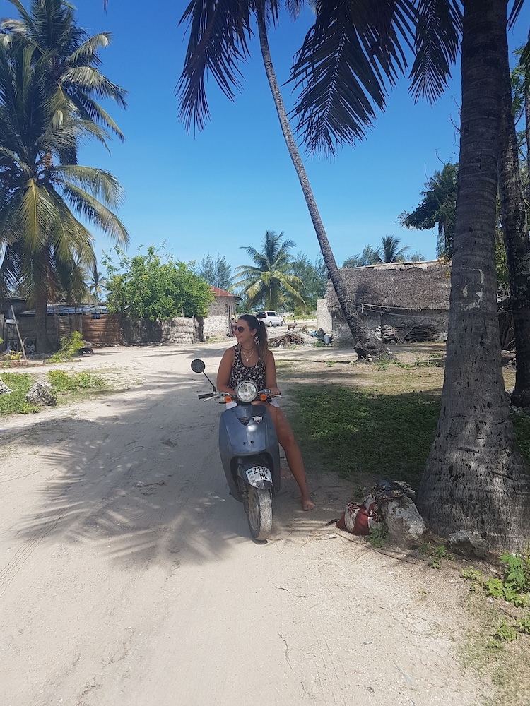 new jambo bungalows hostel