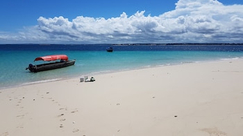 new jambo bungalows hostel