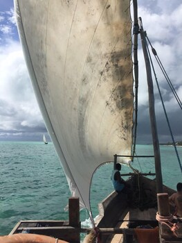 new jambo bungalows hostel