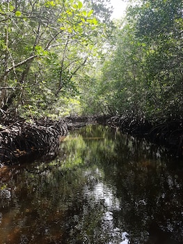 new jambo bungalows hostel