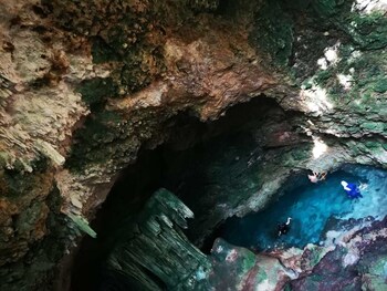 new jambo bungalows hostel