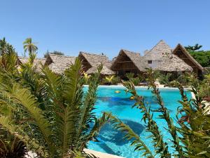 new jambo bungalows hostel