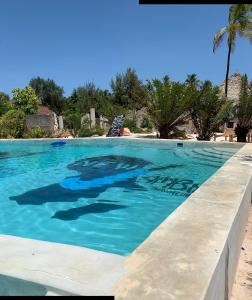 new jambo bungalows hostel