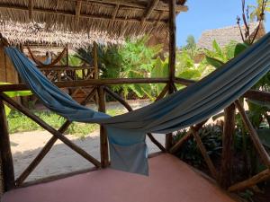 new jambo bungalows hostel