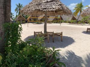 new jambo bungalows hostel