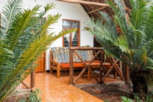 new jambo bungalows hostel