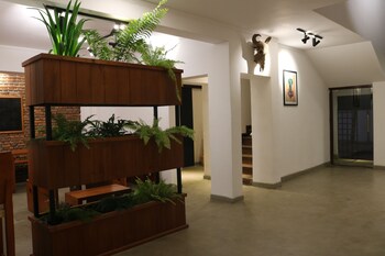 fern colombo