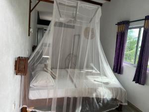 frangipani beach villa