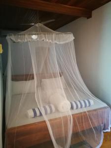 frangipani beach villa