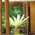 private organic house