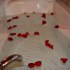 tiffanys bed and breakfast