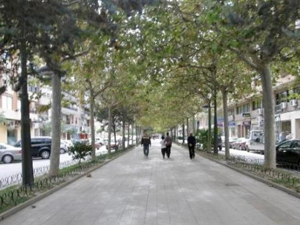 orihuela