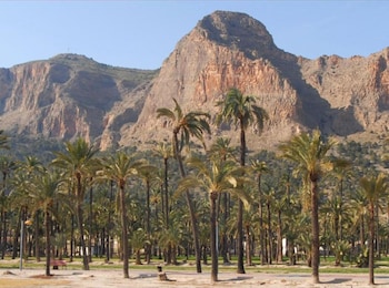 orihuela