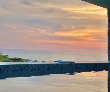 the palms resort and bar