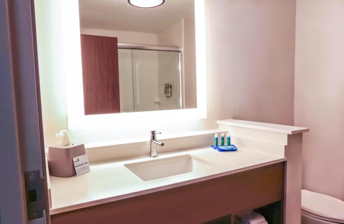 holiday inn express and suites houston iah belt 8