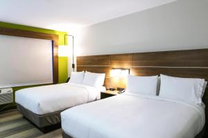 holiday inn express and suites houston iah belt 8