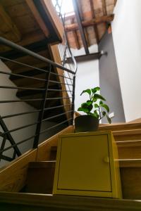 castelmenardo39