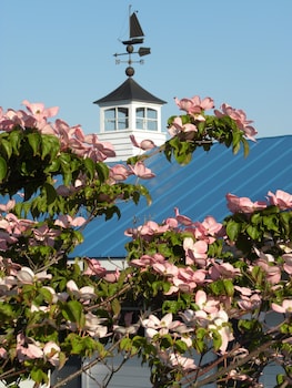 colonial gables oceanfront village