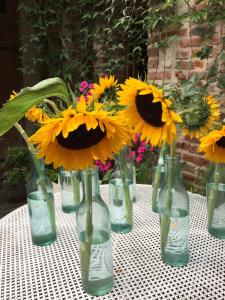 a lecole buissonniere