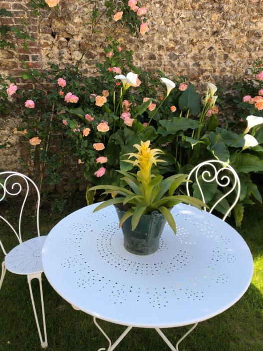 a lecole buissonniere