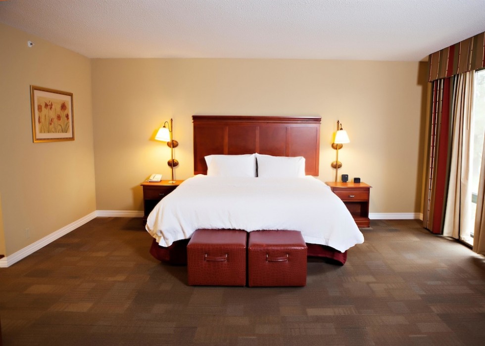 hampton inn martin
