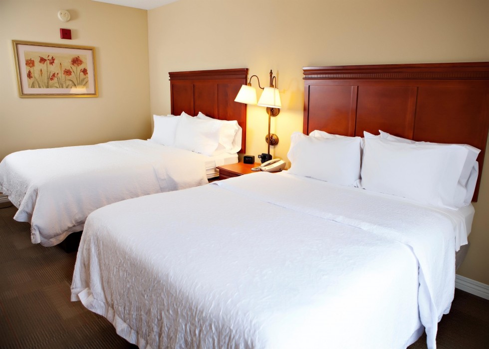 hampton inn martin