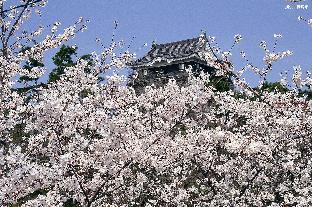 hotel waltz okazaki adults only