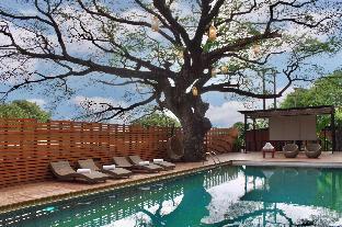 bamboori boutique resort chiang mai