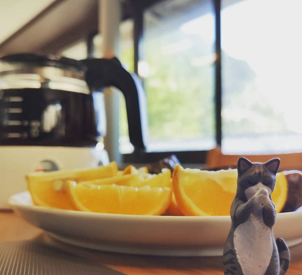 jinguashi cloud mountain homestay bandb