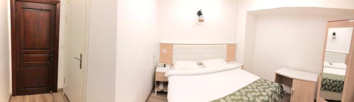 amasya ziyagil konagi