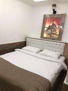 amasya ziyagil konagi