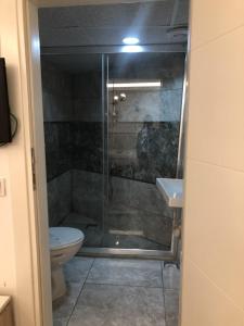 amasya ziyagil konagi