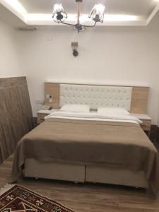 amasya ziyagil konagi