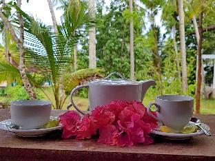 rocky point beach bungalows