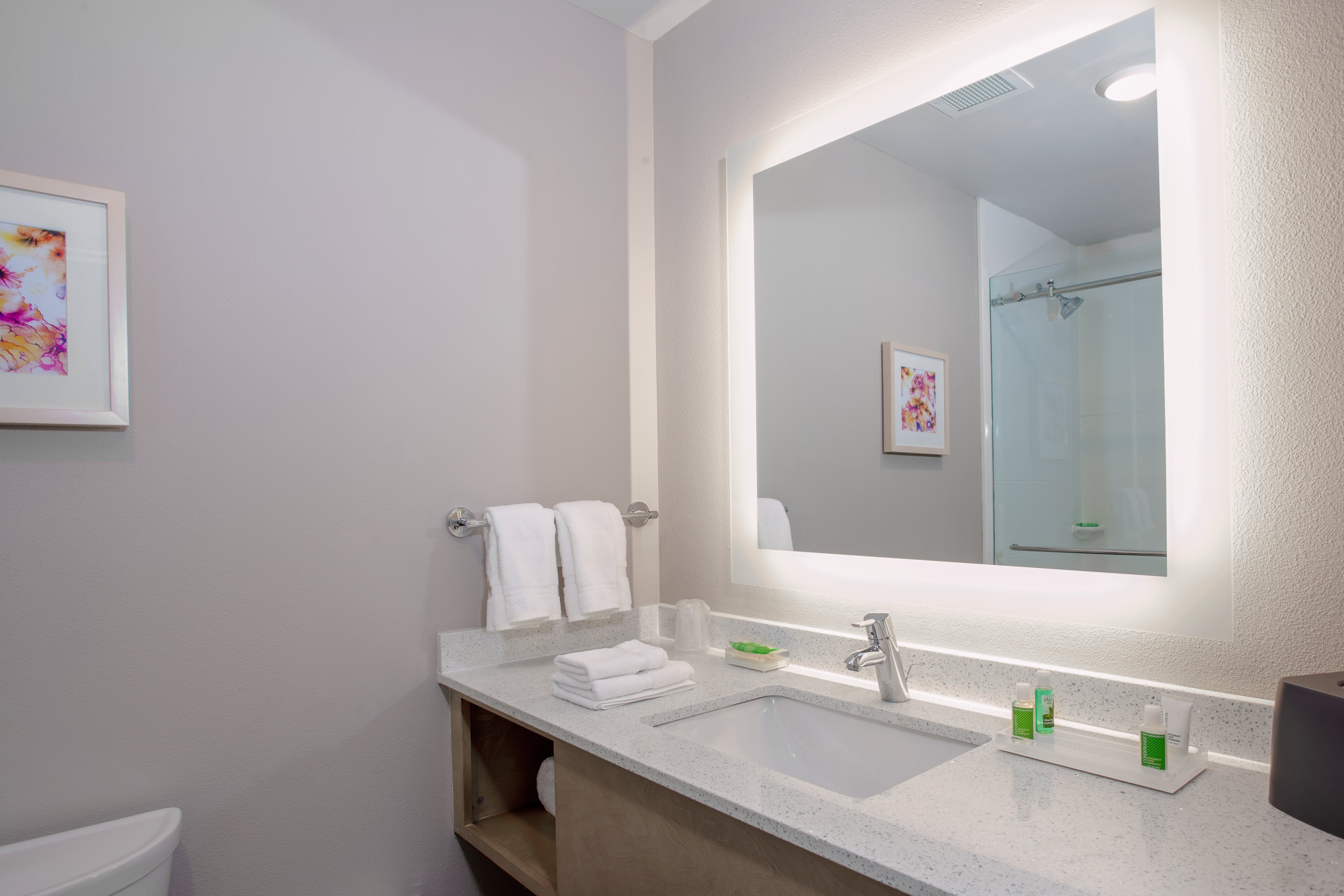 holiday inn tallahassee e capitol univ an ihg hotel