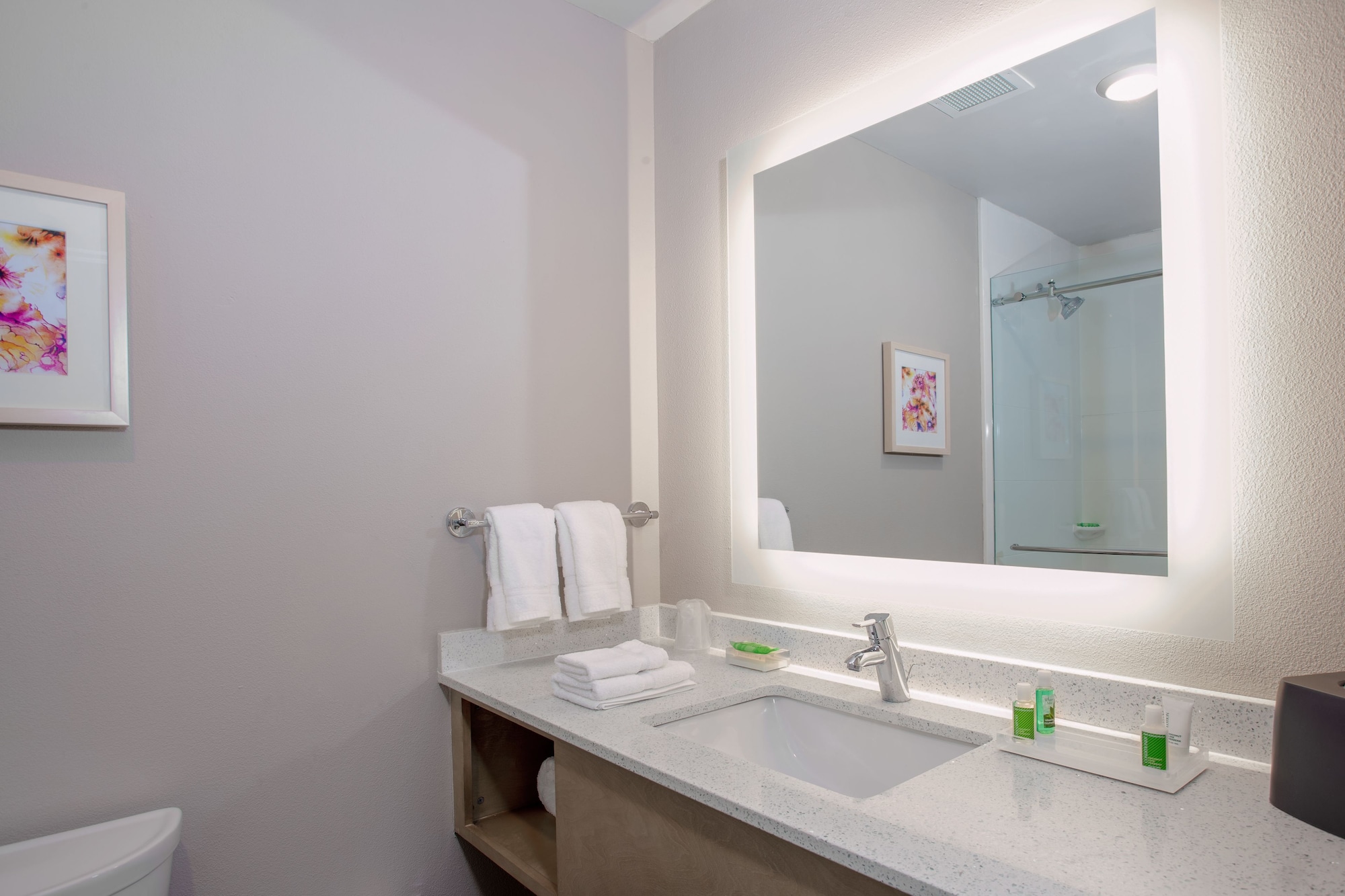 holiday inn tallahassee e capitol univ an ihg hotel