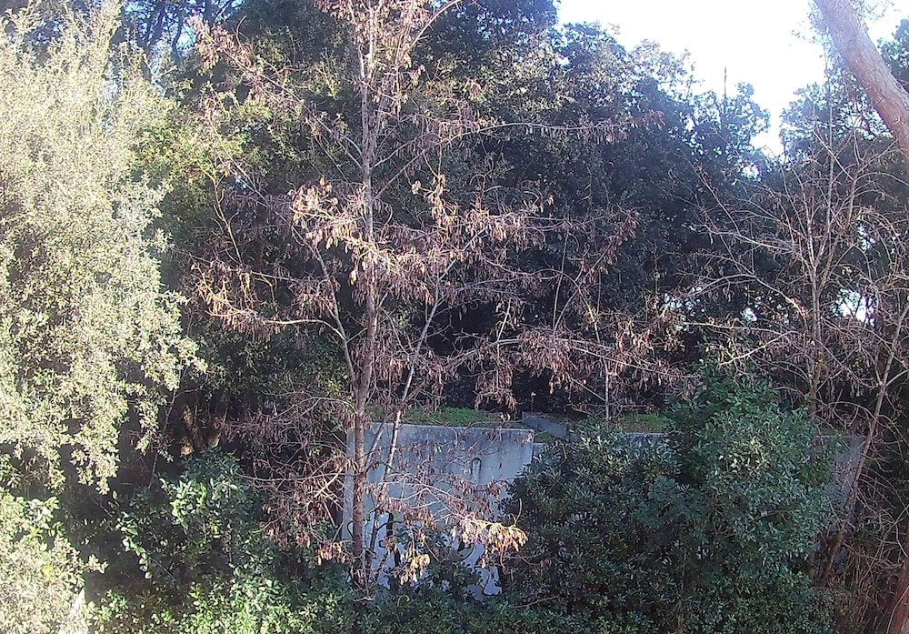 la casa di nataly