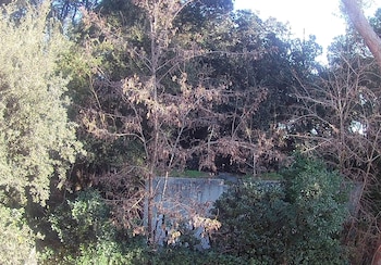 la casa di nataly