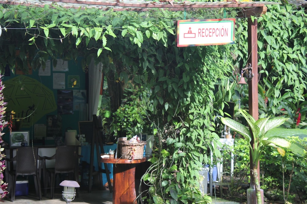 faith glamping dome costa rica