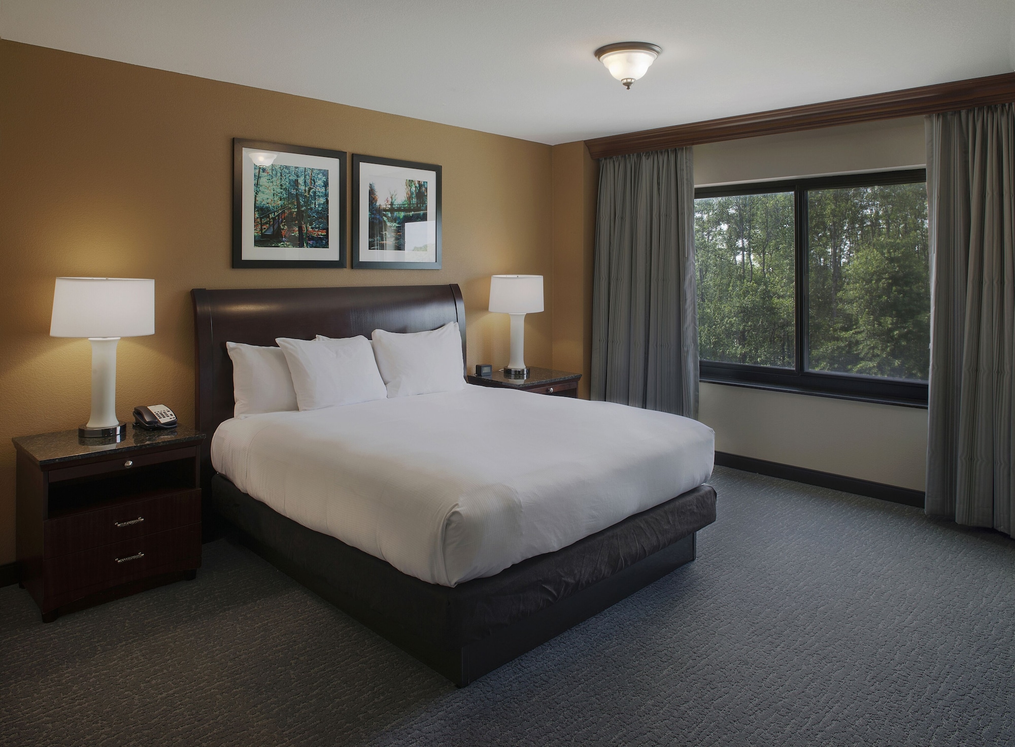 doubletree suites by hilton bentonville