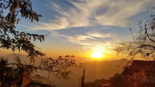 shimla