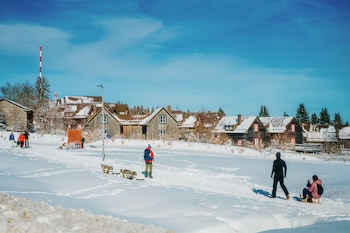 torfhaus harzresort