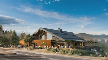 torfhaus harzresort
