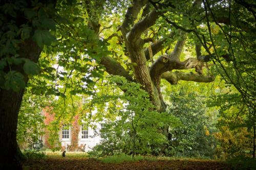 roundwood house