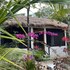 akumal