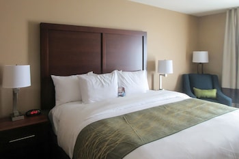 comfort inn and suites harrisburg airport hershe